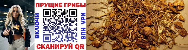 ОМГ ОМГ рабочий сайт  Кулебаки  Псилоцибиновые грибы Magic Shrooms 